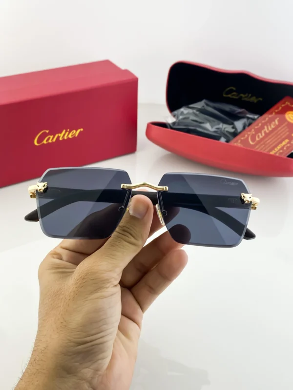CARTIER PURE LEATHER - Image 4