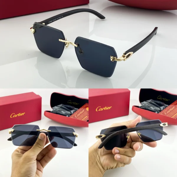 CARTIER PURE LEATHER - Image 2