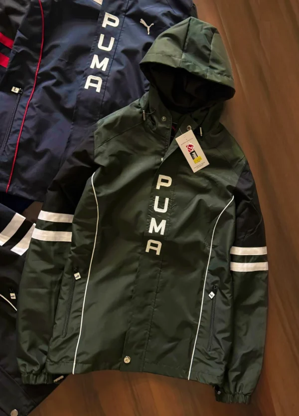 Puma - Image 5