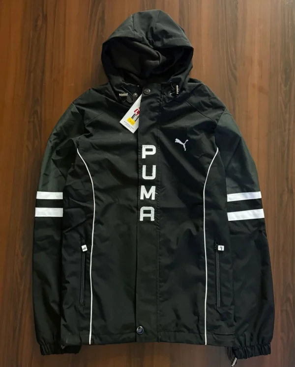 Puma - Image 2