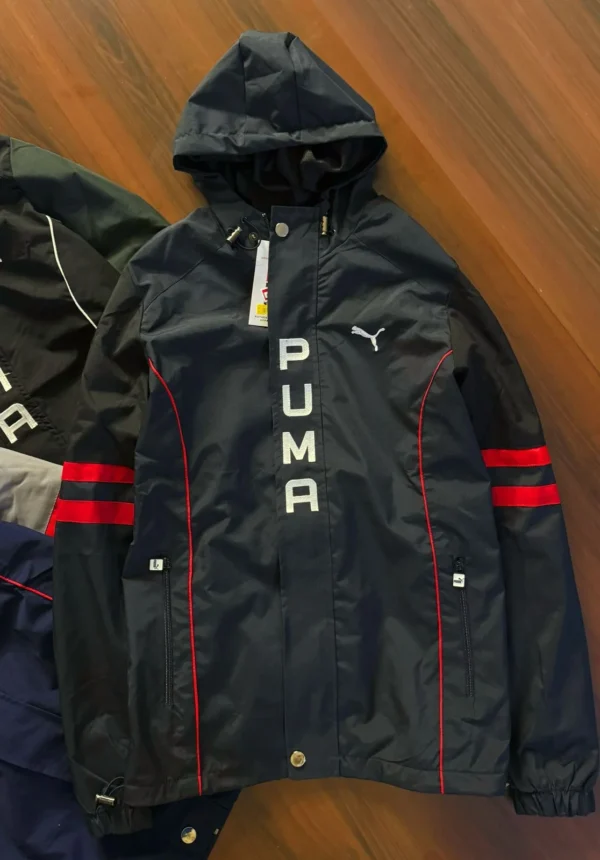 Puma - Image 3