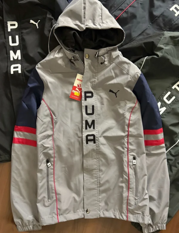 Puma - Image 4